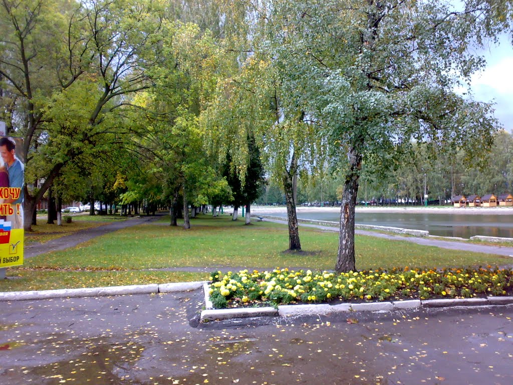 Городской пруд (city water)