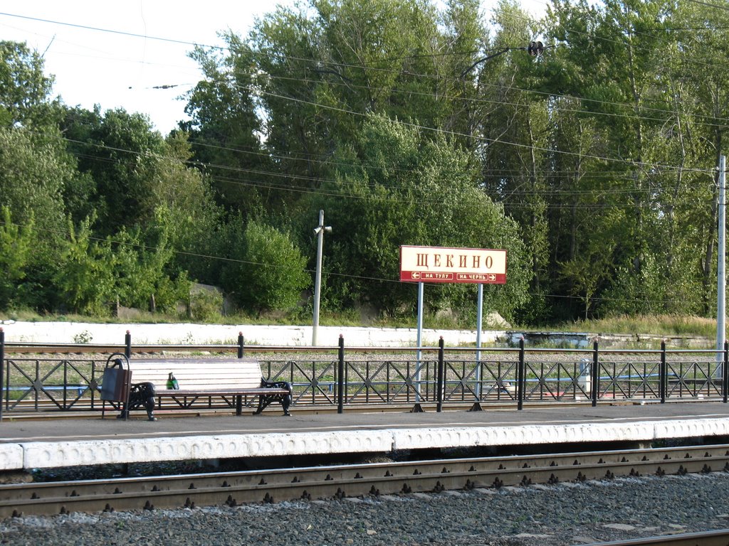 Станция Щекино