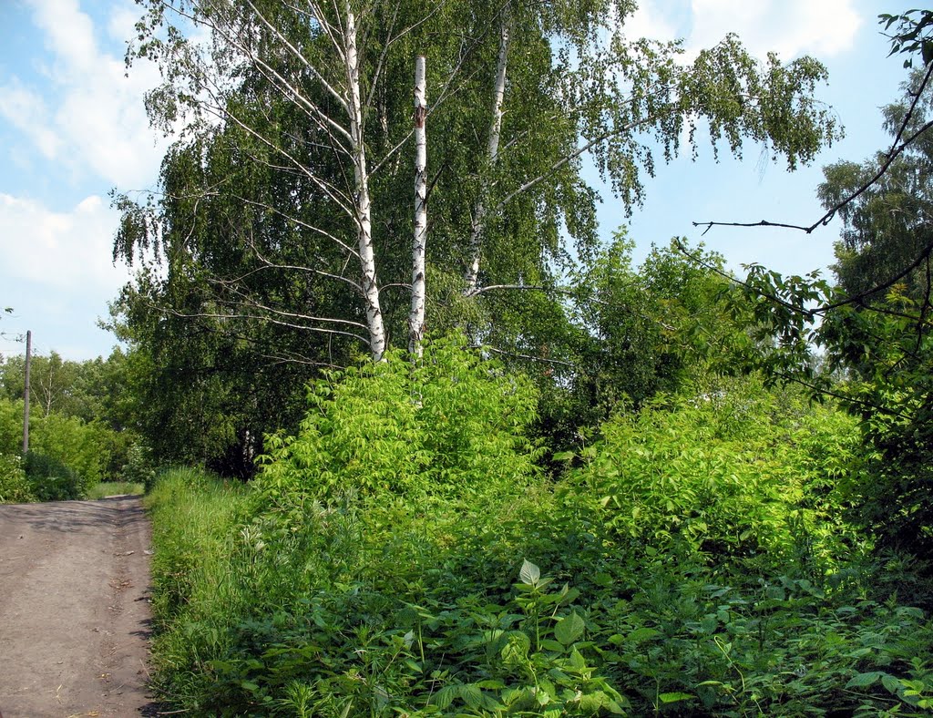Щекино 2