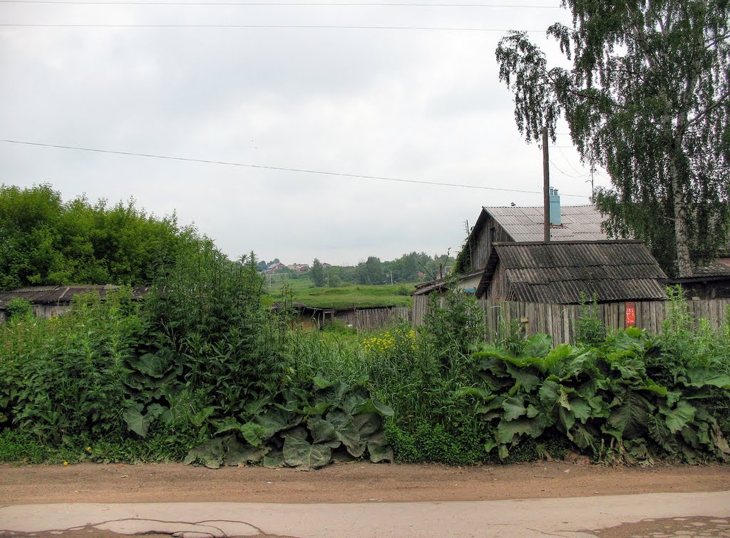 Щекино 10