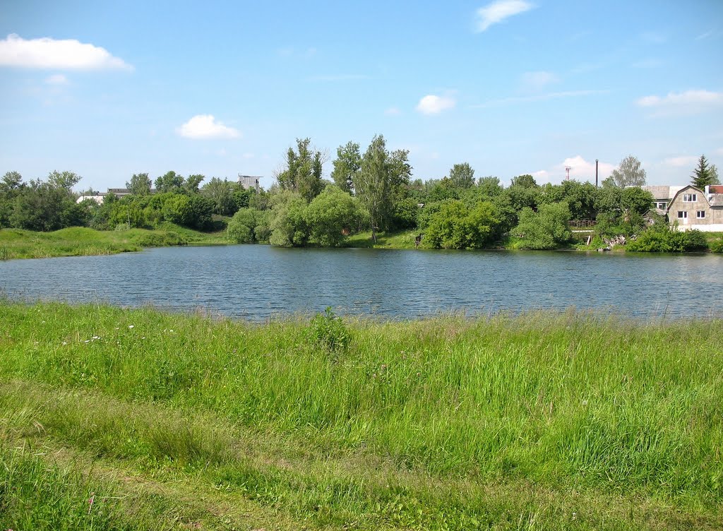 Щекино 14
