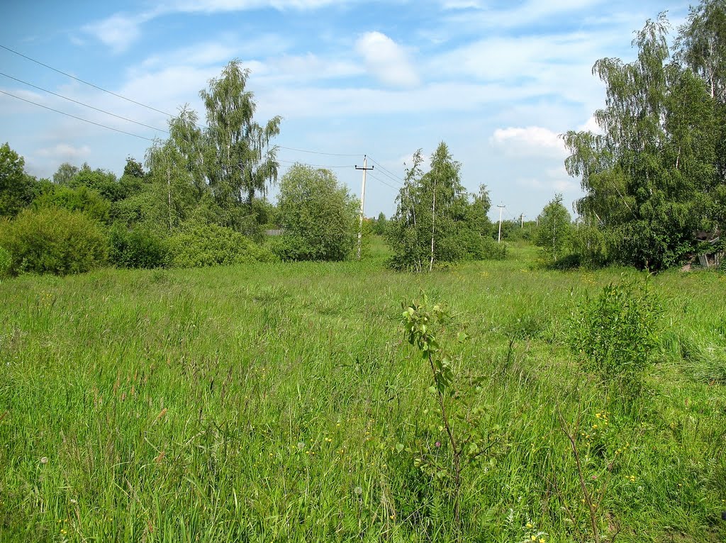 Щекино 15
