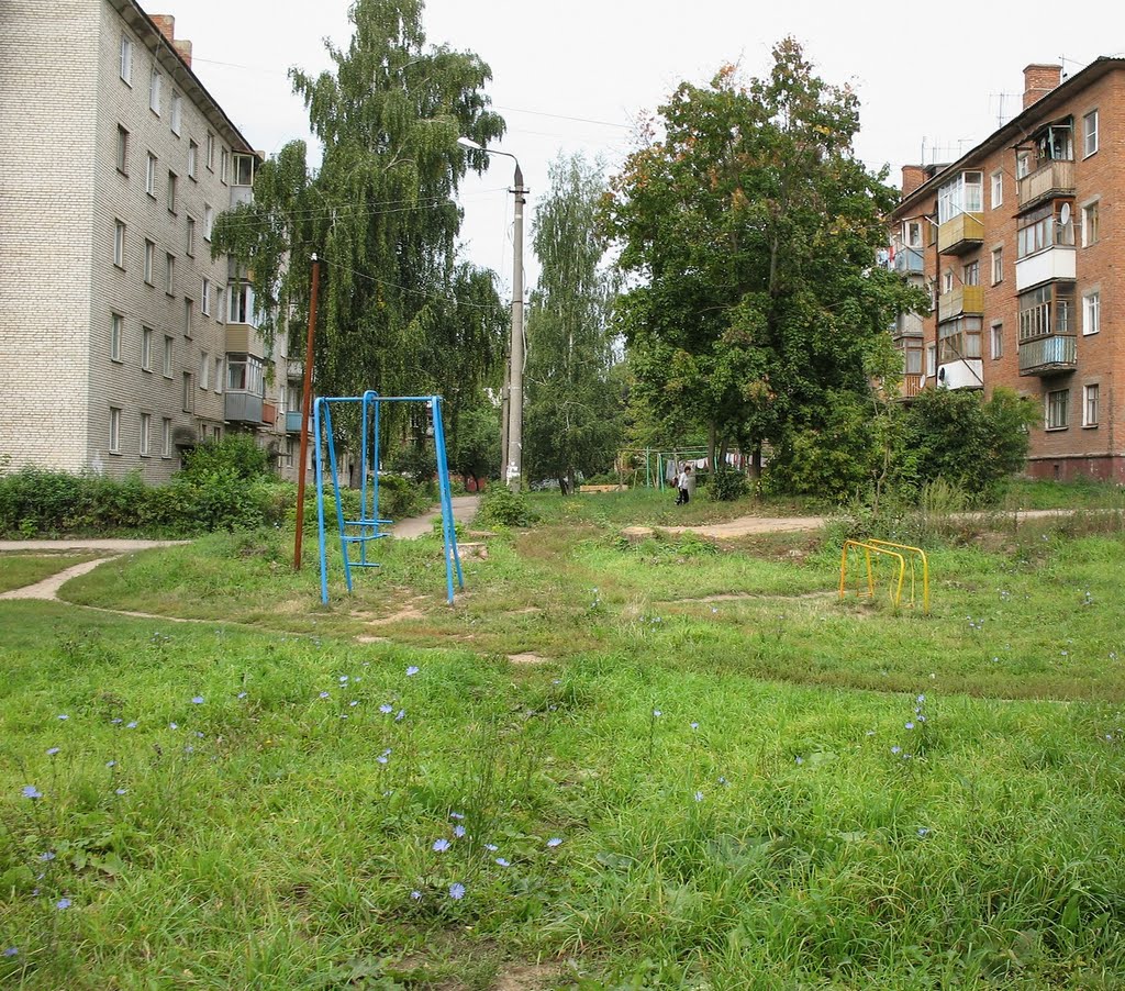 Щекино 33