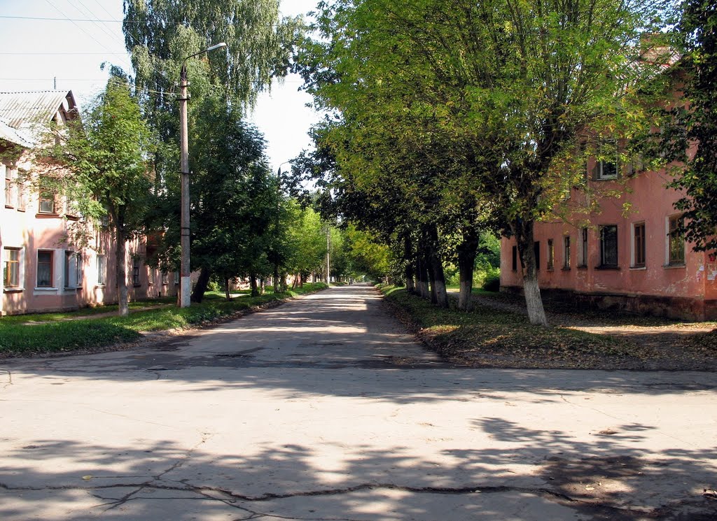 Щекино 50