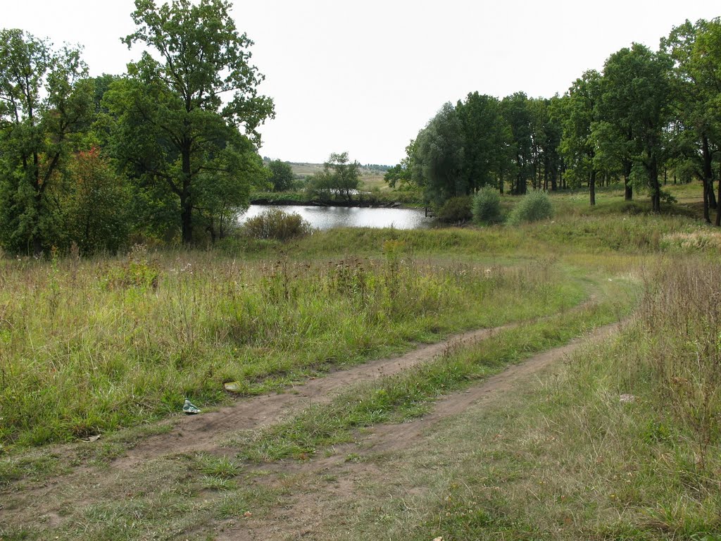 Щекино 71