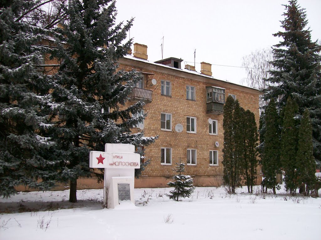 Улица Колоскова