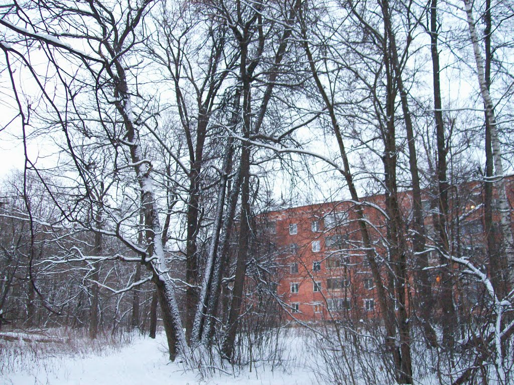 Большой дом рядом с лесом