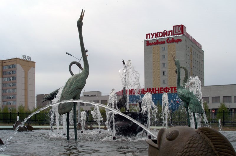 Северный аист