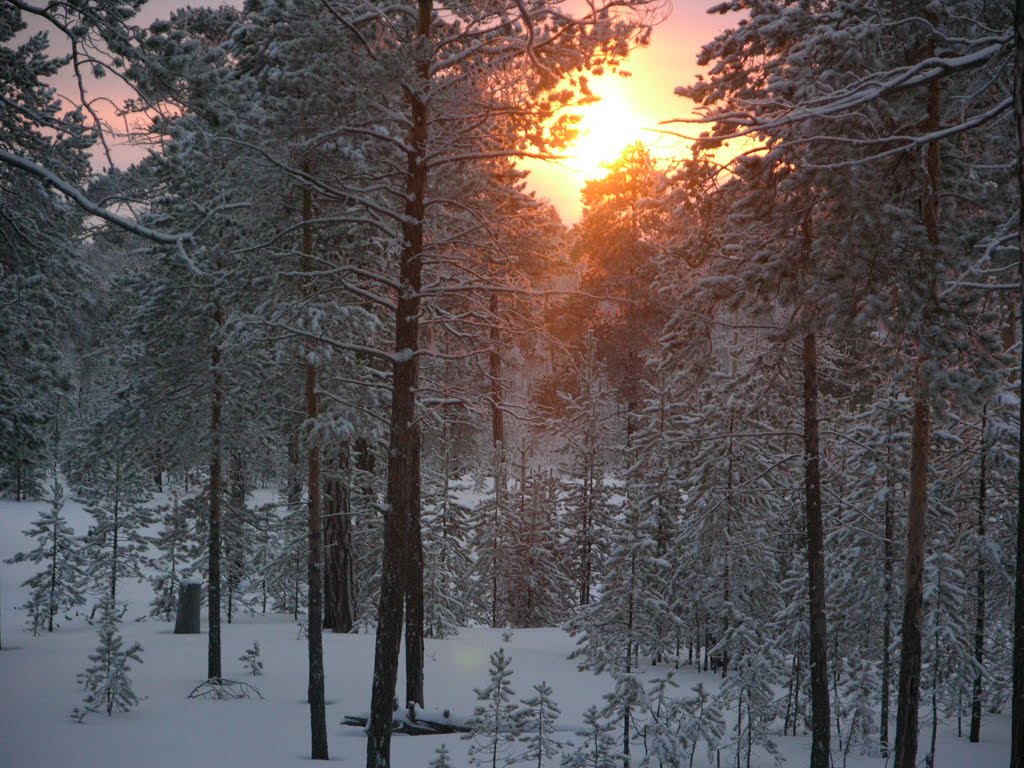 Когалым Kogalym, Western Siberia