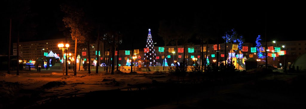 Snow City 2011