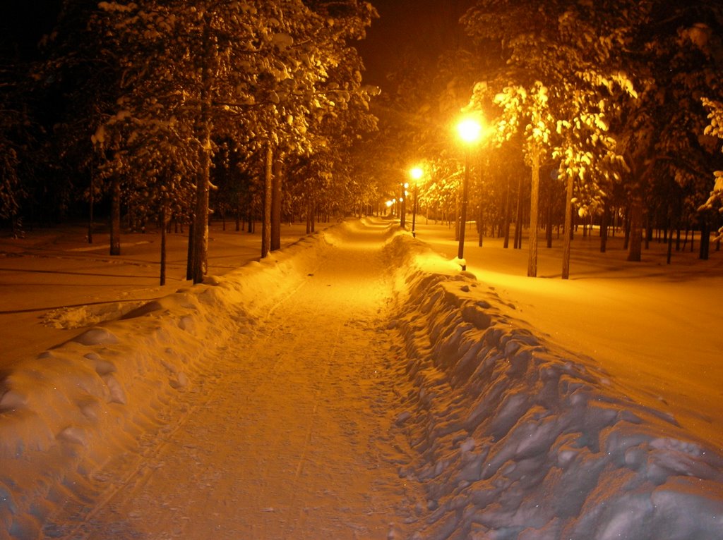 park at night