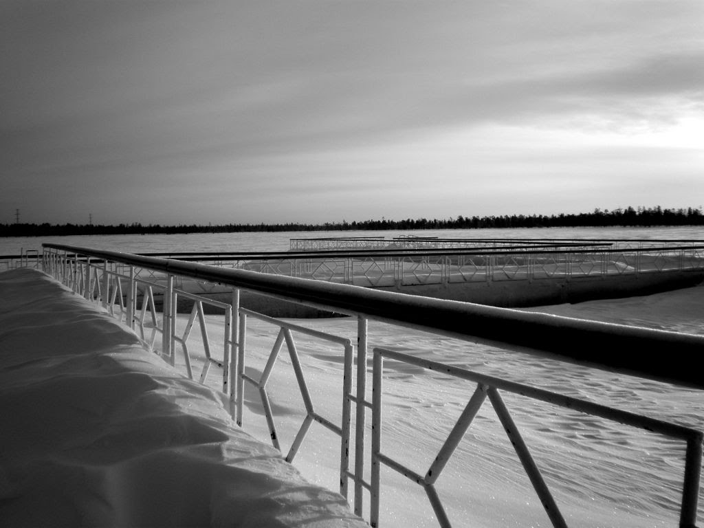 Muravlenko. Lake. Diagonals.