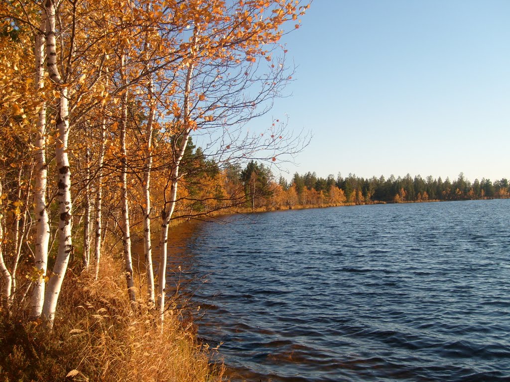 Autumn in Siberia