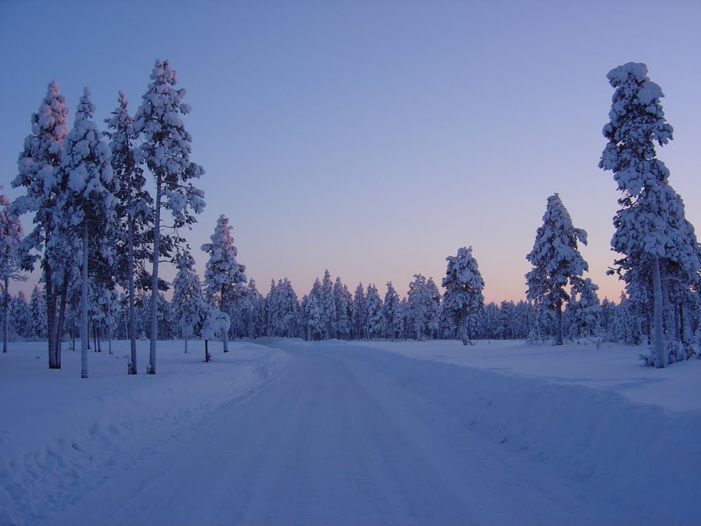 February Near Muravlenko / В феврале недалеко от Муравленко