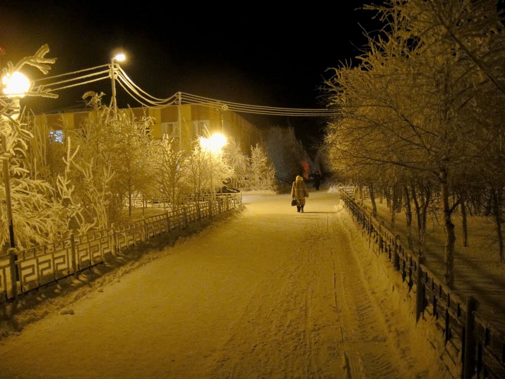 25.01.2011 Аптека