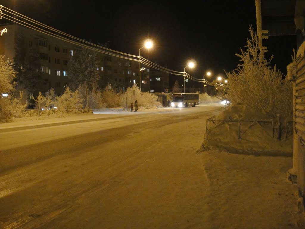 25.01.2011 Остановка "Стоматология"