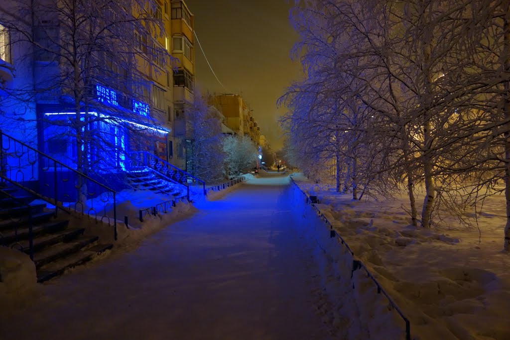 Муравленко январь 2013