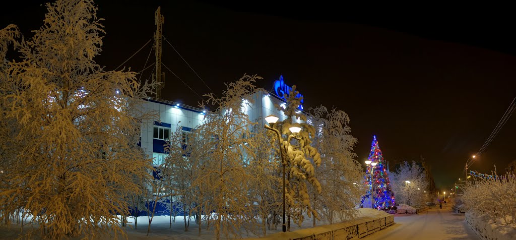Муравленко январь 2013