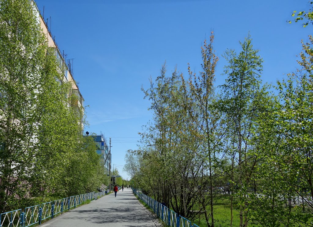 Муравленко июнь 2013