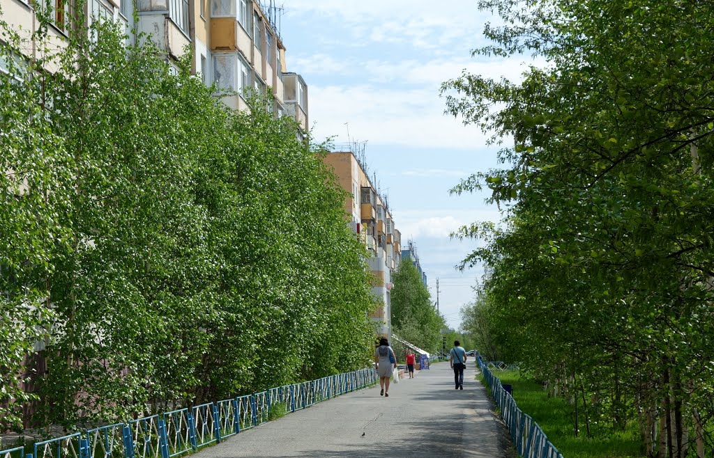 Муравленко июнь 2013