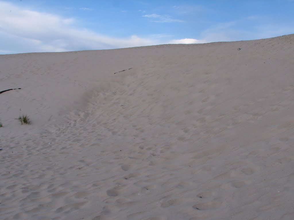 The beach of Gubkinsky