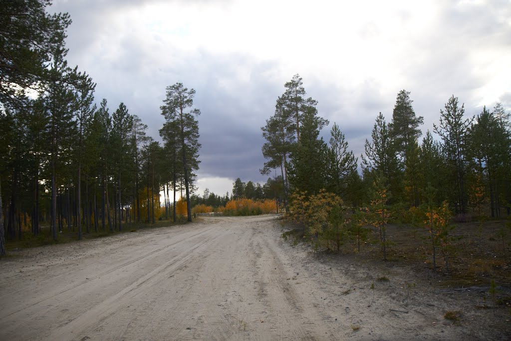 парк