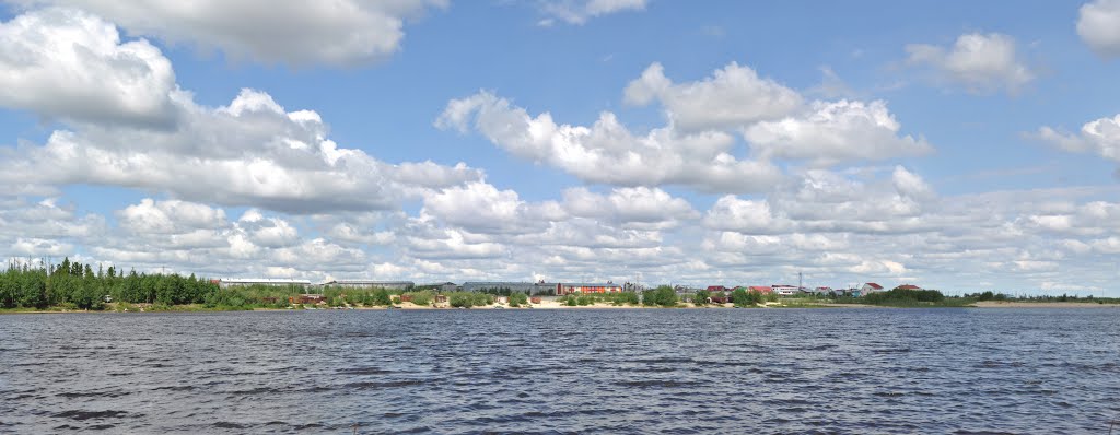 Губкинский залив
