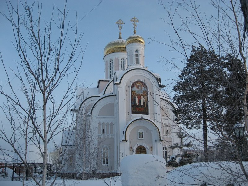 Свято_Серафимовский храм, 7_01_2009. Рождество Христово