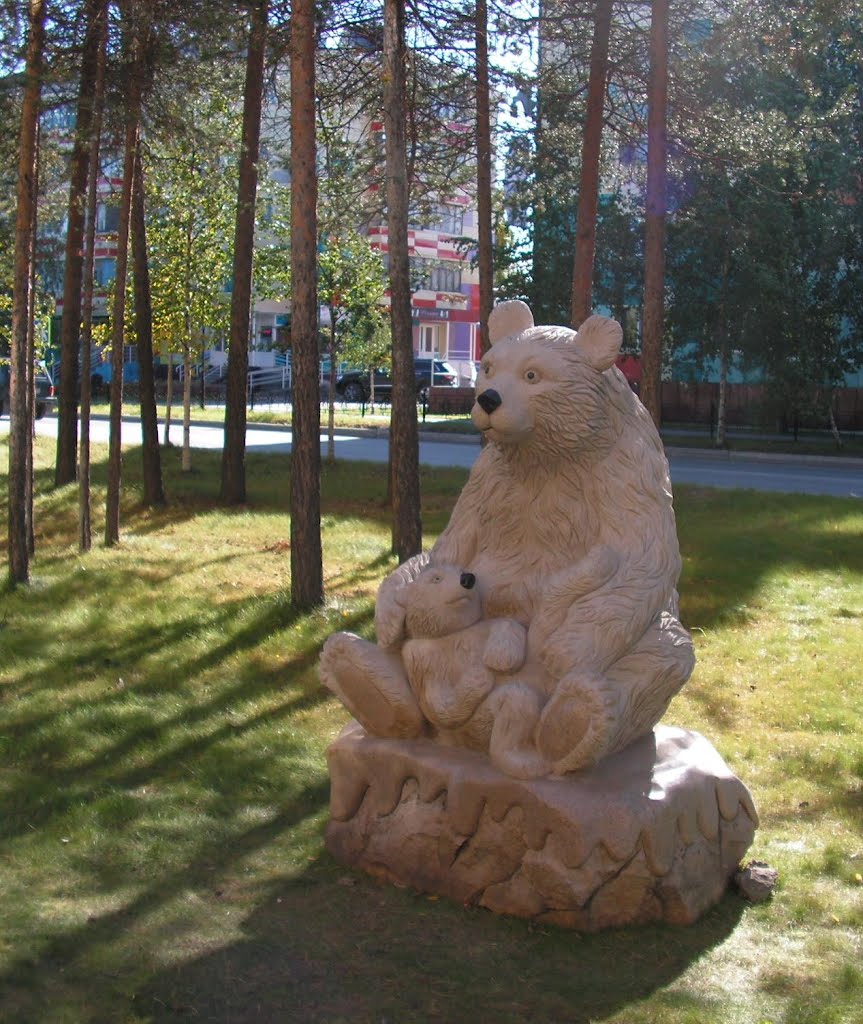 Мишка на севере