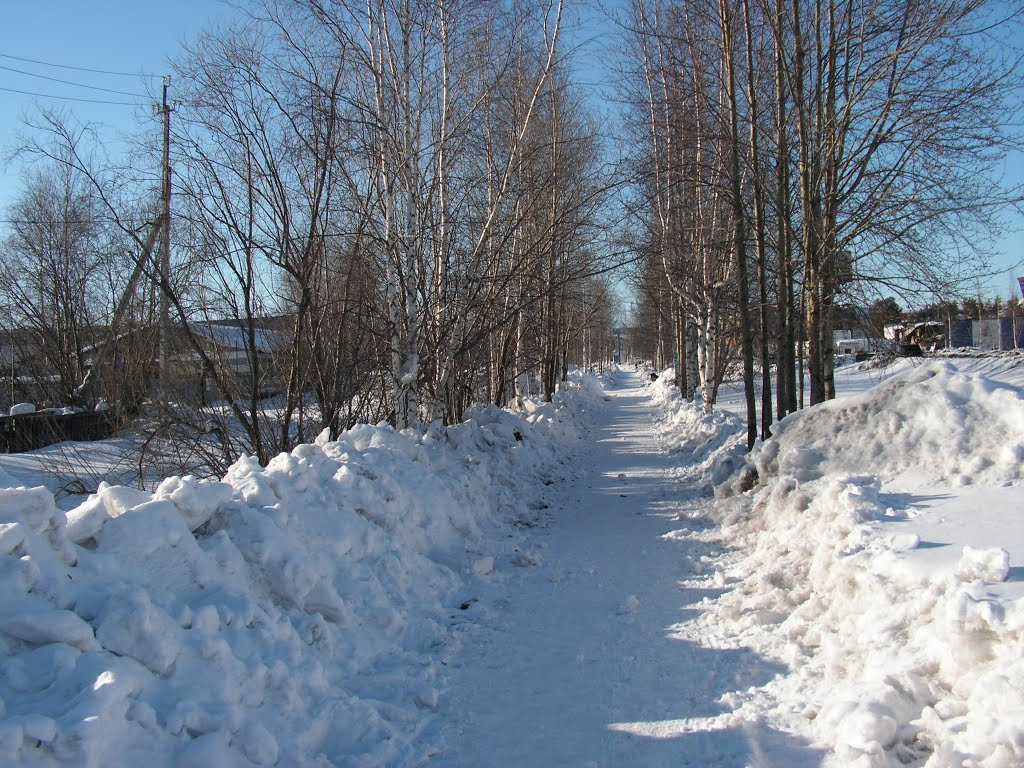 Пешеходная дорожка