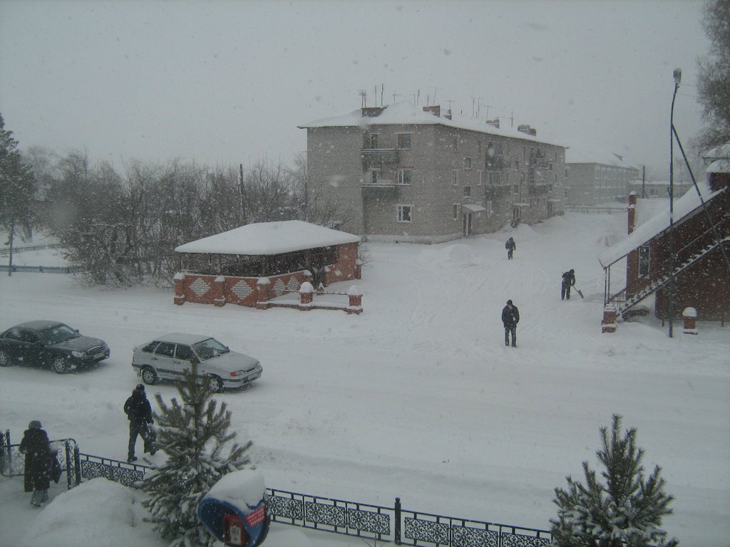 Зима в Абатске