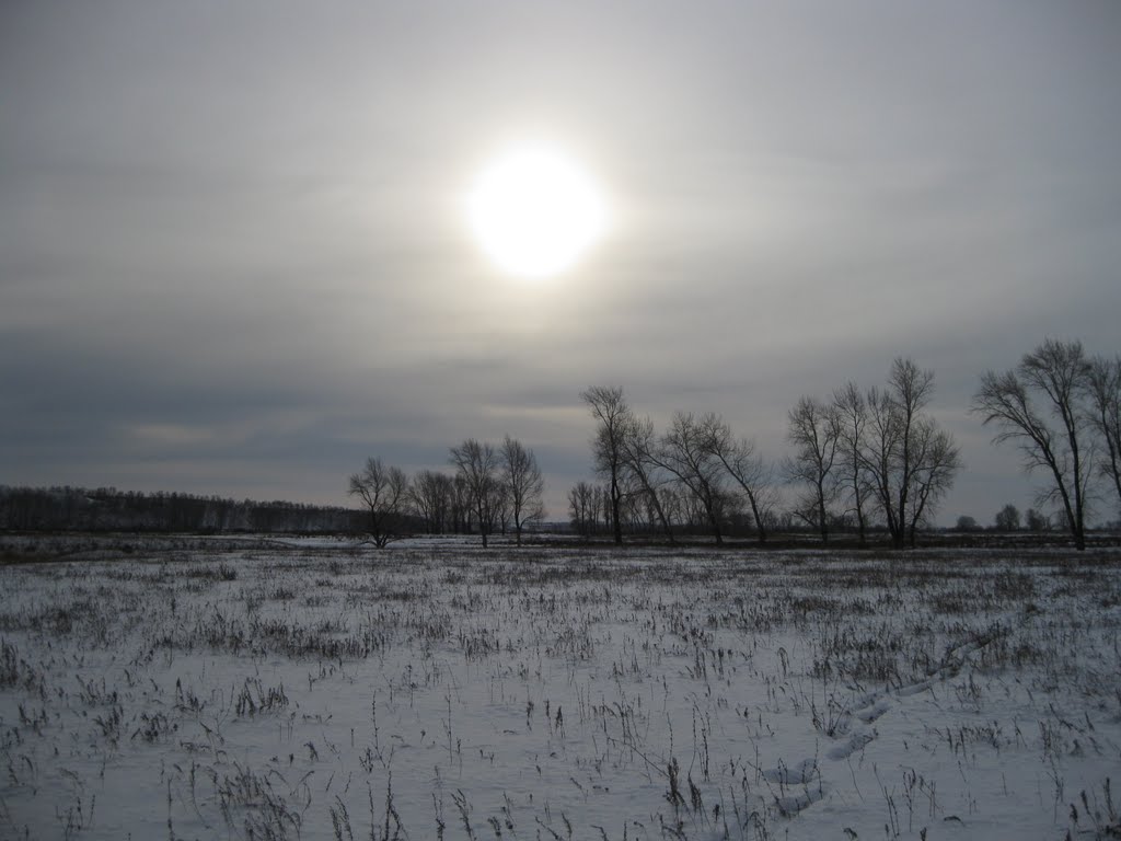 Утро на Ишимских старицах