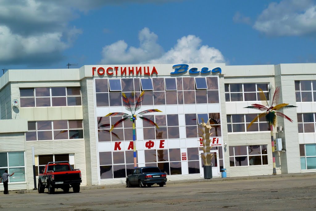 Омутинский - Новодеревенская. Гостиница "Вега", с пальмами.