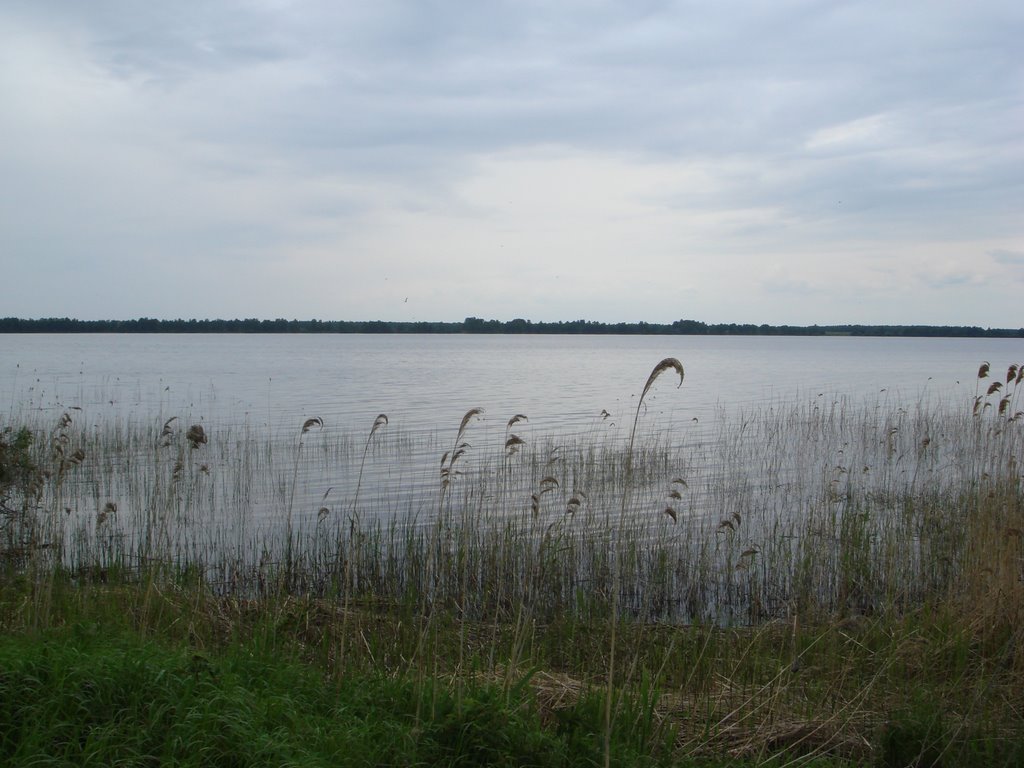 Vikulovo