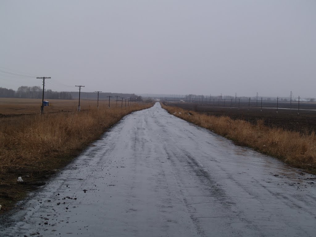 Дождливая дорога в даль
