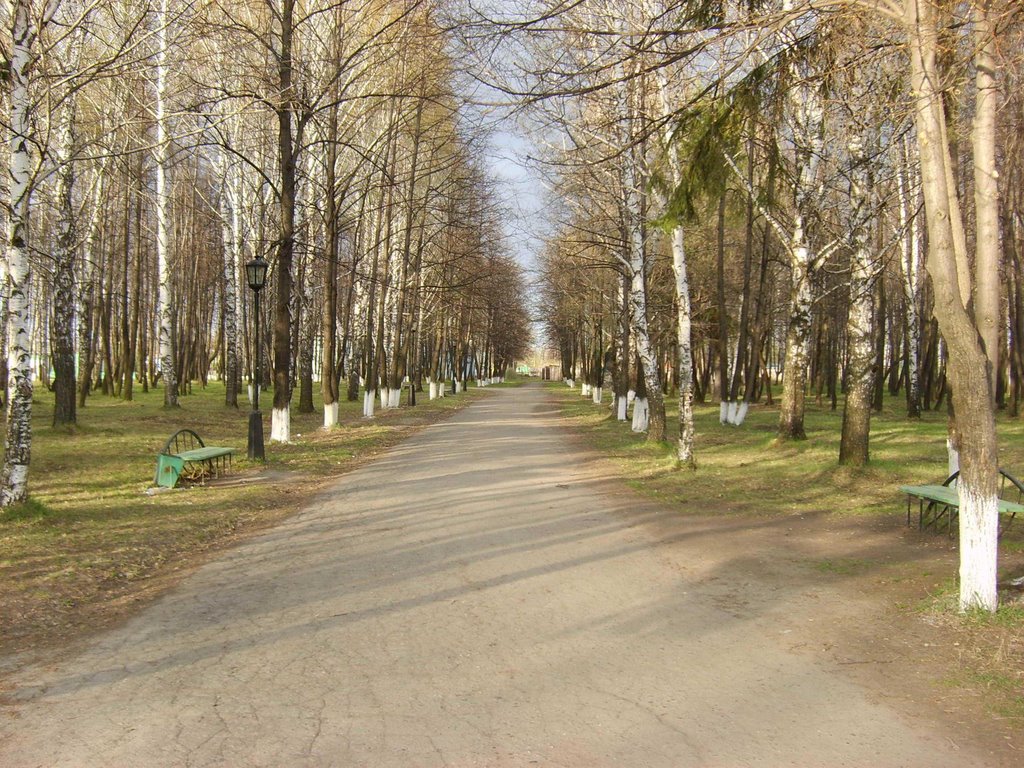 Парк в с. Вагай