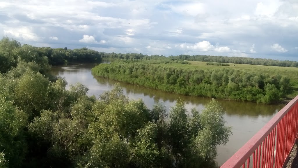 Ишим с моста