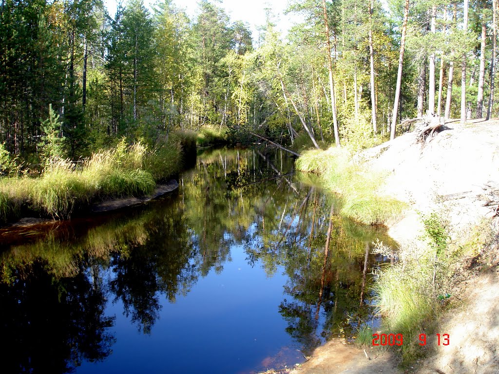 лес