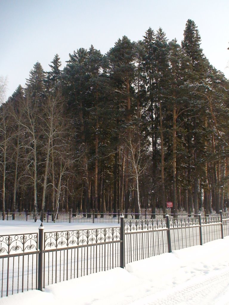 Колмаковский парк