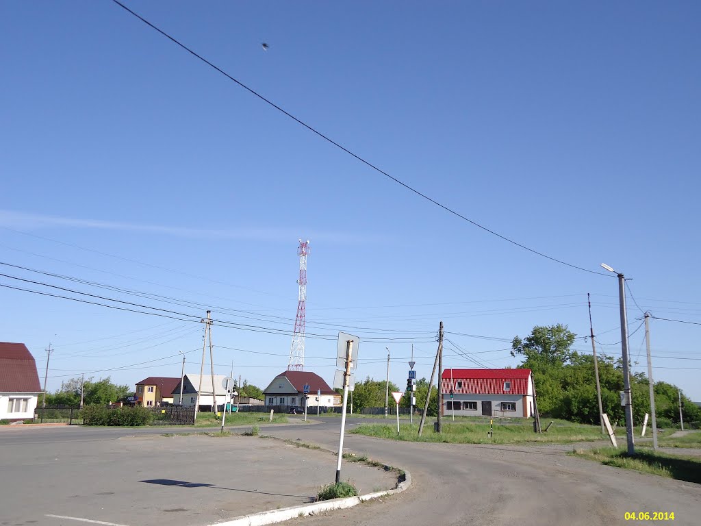 Исетское
