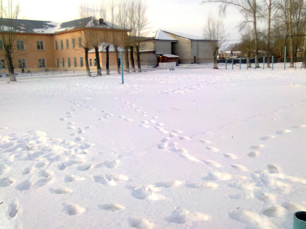 Первая школа