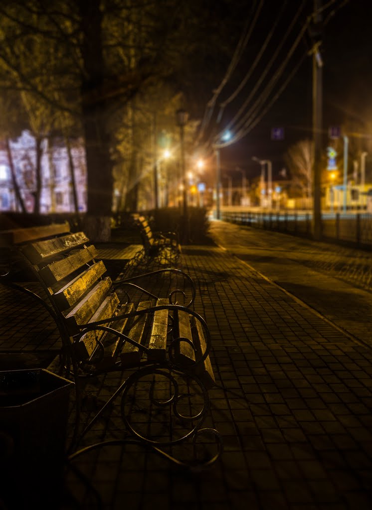 Bench in park.