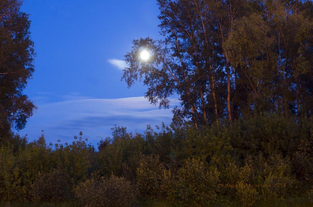 Ночь. Луна.