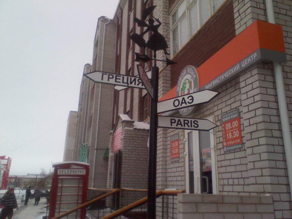Куда бы рвануть?