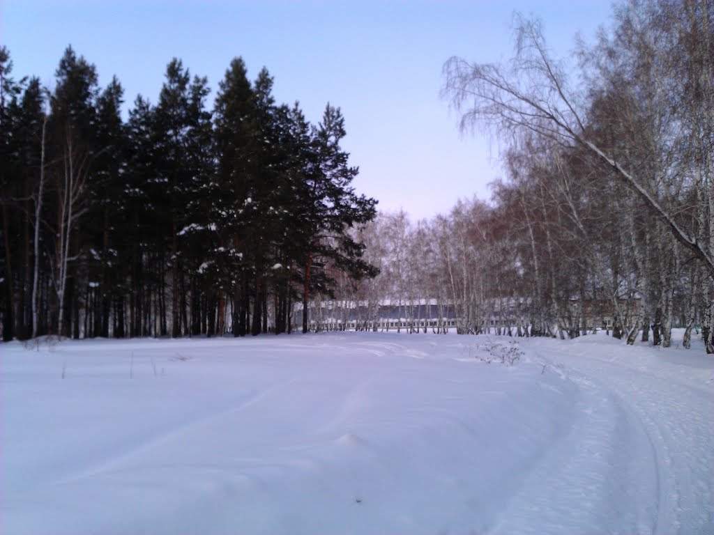 Лесная дорога к спорткомплексу