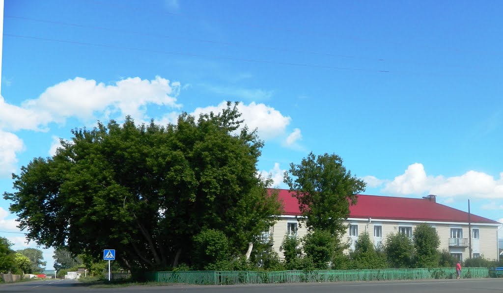 ул. Ленина, 15