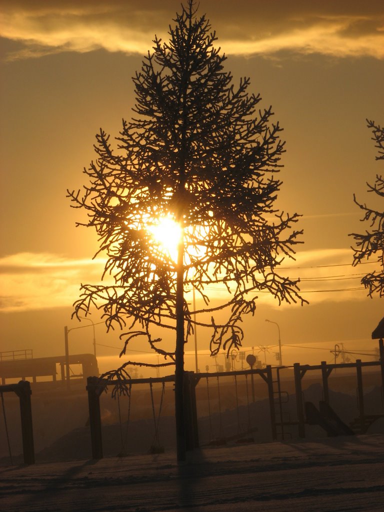 winter sunset