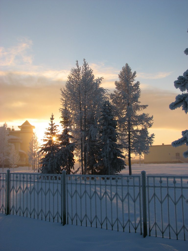 winter in Labytnangy