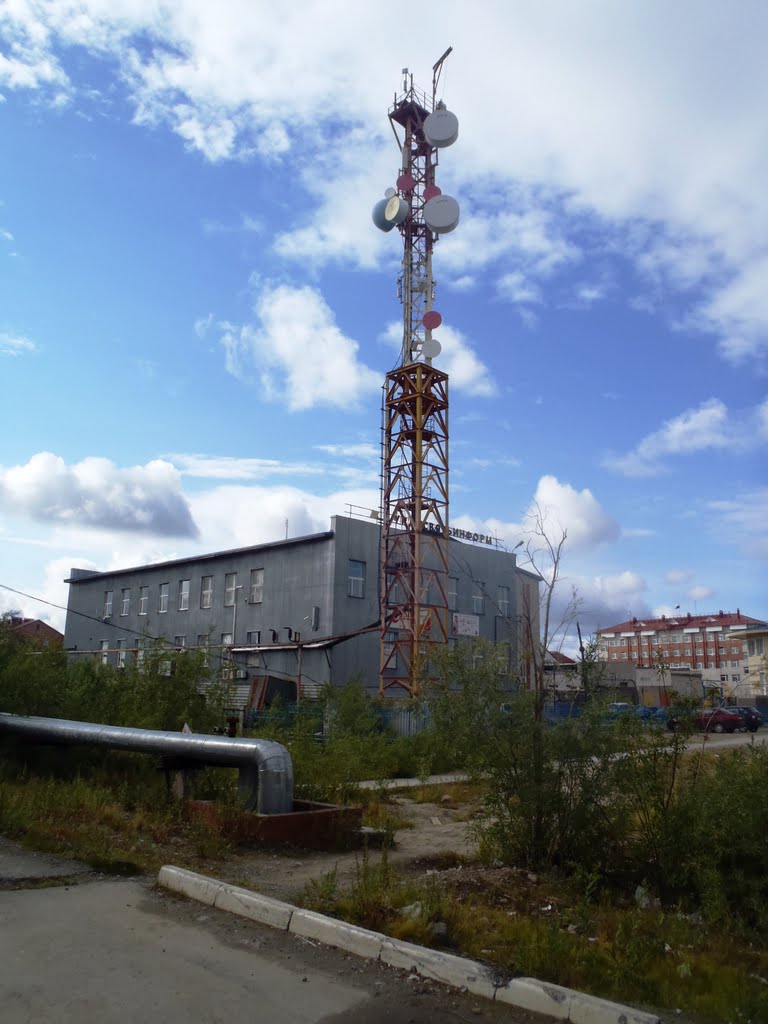 Поселок Лабытнанги. Август 2010 года.