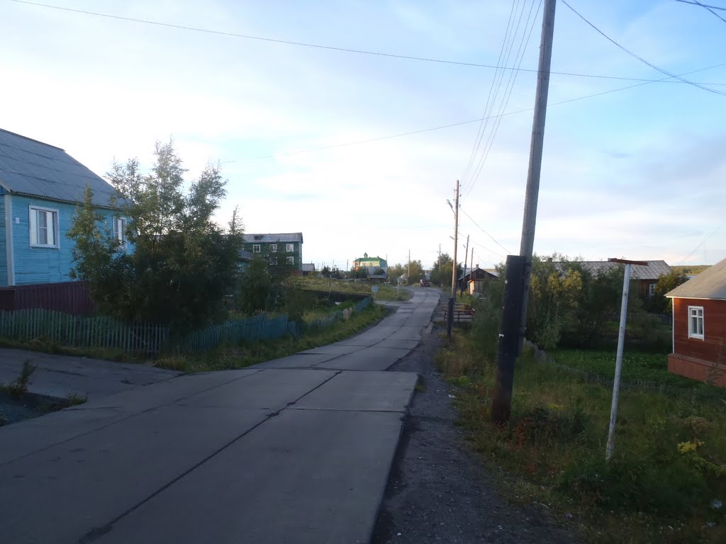 Поселок Мужи. Август 2010 года.